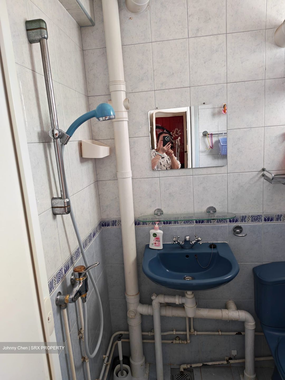 Blk 309 Clementi Meadows (Clementi), HDB 3 Rooms #542139501